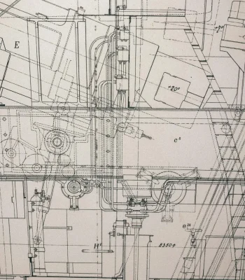 pexels-photo-13083354-13083354-scaled