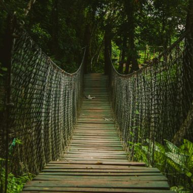 Discover the adventurous charm of a wooden suspension bridge in a lush tropical Nicaraguan forest.